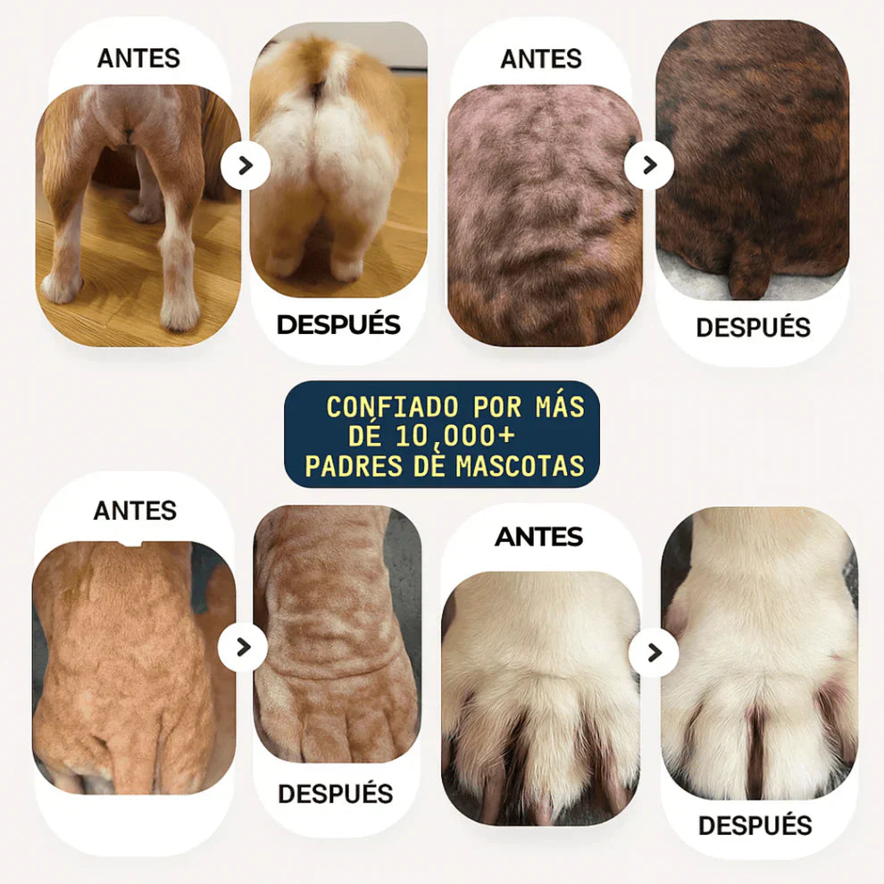 Pet Skin