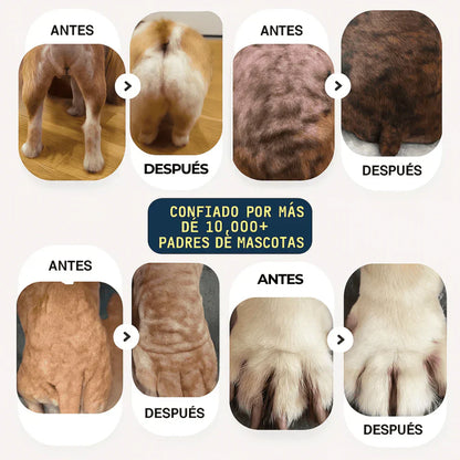 Pet Skin
